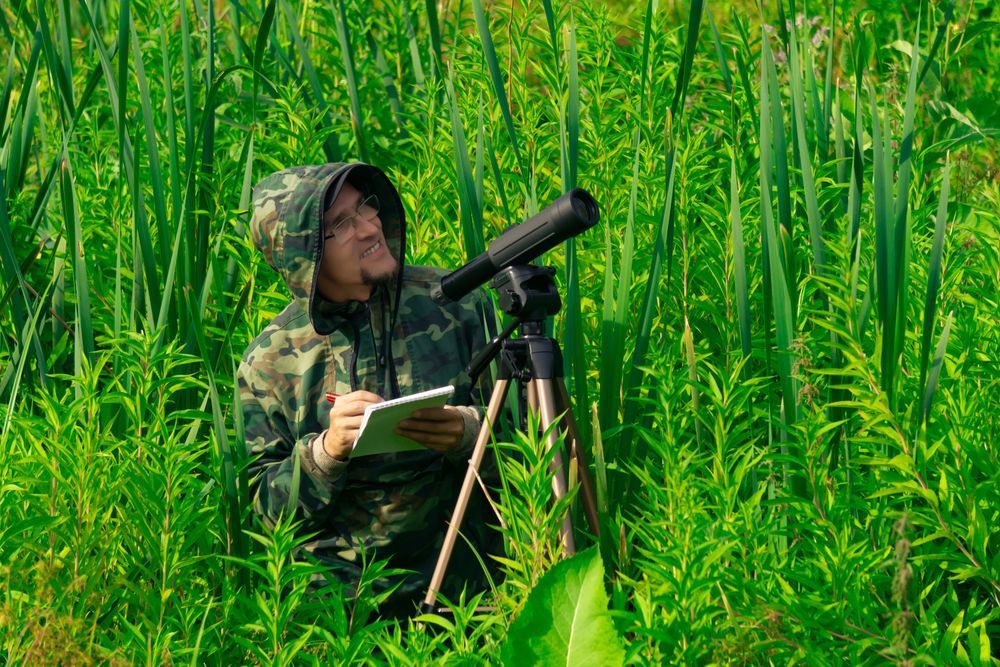 Wildlife Biologist