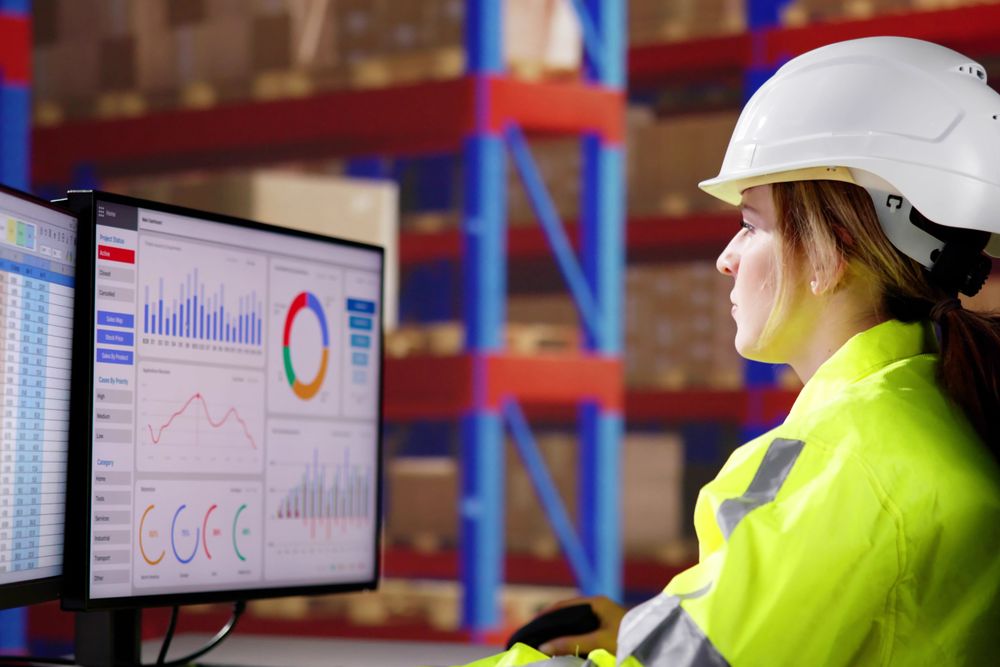 Logistics Analyst