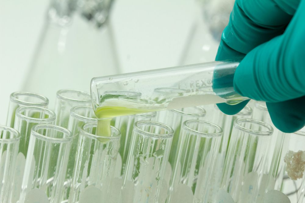 Biofuels Technology Manager
