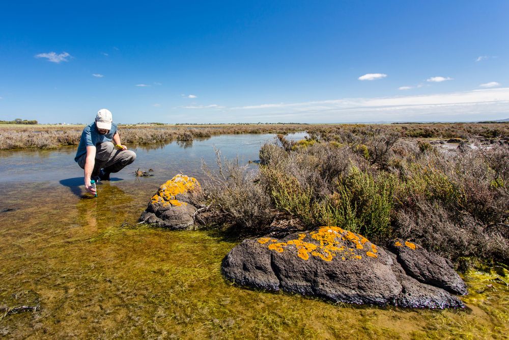 Environmental Restoration Planner