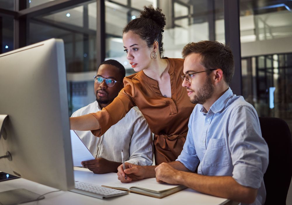 Information Technology Project Manager